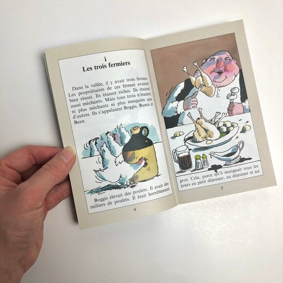 2 Livres jeunesse vintage 90s 🦊 Documentaire + Roman Fantastique Maître Renard - Picture 3 of 9
